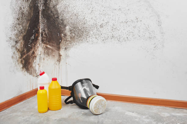 Certified Mold Removal in Clarkston, GA