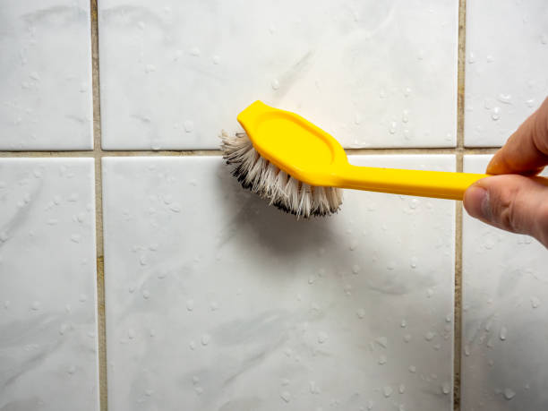 Clarkston, GA Mold Removal Company