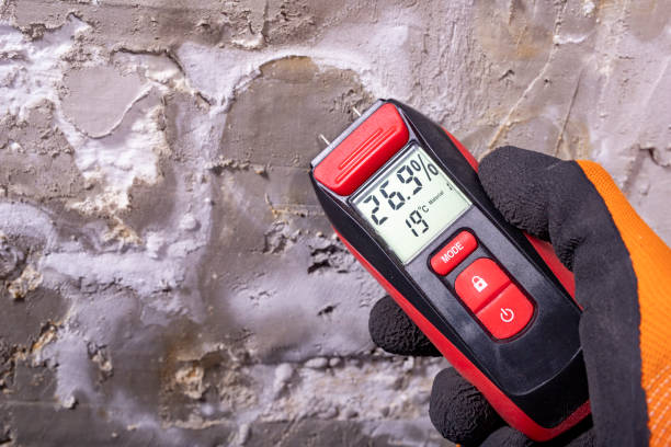 Best Mold Testing  in Clarkston, GA