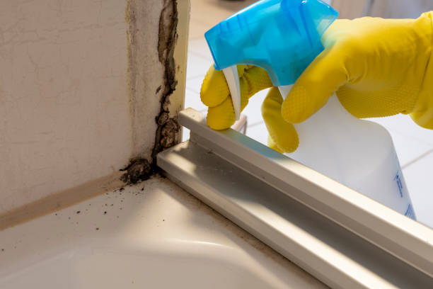 Best Commercial Mold Removal  in Clarkston, GA