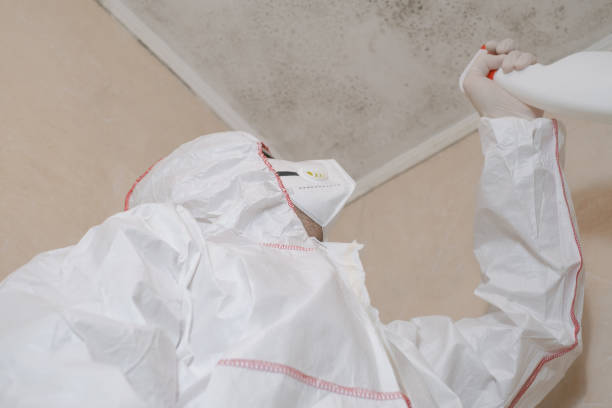 Crawl Space Mold Removal in Clarkston, GA
